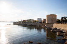 Laden Sie das Bild in den Galerie-Viewer, 15115 Gli Organi della Sardegna - Vol. 1 - Alghero, Cattedrale Santa Maria - Organist: Giovanni Solinas