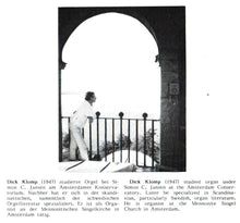 Laden Sie das Bild in den Galerie-Viewer, 10971 Schwedische Romantik