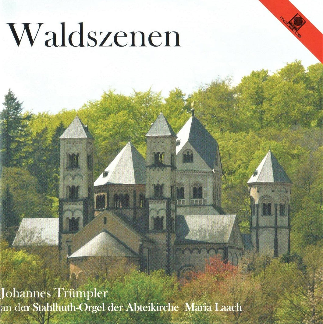 13901 Waldszenen