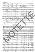 Laden Sie das Bild in den Galerie-Viewer, 1001 Marc Vogler - Coronarequiem op. 13 - Dirigierpartitur A3