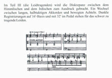 Laden Sie das Bild in den Galerie-Viewer, 10961 Domorganist Albert Schönberger an den Orgeln im Hohen Dom zu Mainz
