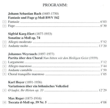 Load image into Gallery viewer, 11321 Die Ladegast-Sauer-Orgel der Nikolaikirche zu Leipzig
