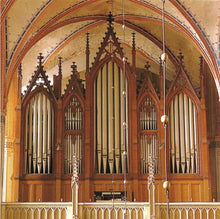 Laden Sie das Bild in den Galerie-Viewer, 11841 Buchholz-Orgel der St.Marien-Kirche zu Barth

