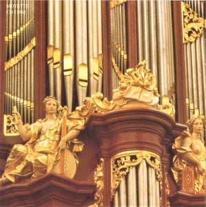 11961 Die Christian-Müller-Orgel in der Sankt Bavokirche zu Haarlem