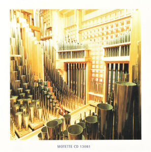 13081 Michael Gailit spielt Marianische Orgelmusik an der Sandtner-Orgel in St. Hedwig, Bayreuth