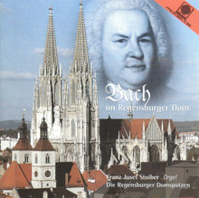 Laden Sie das Bild in den Galerie-Viewer, 50721 Bach im Regensburger Dom
