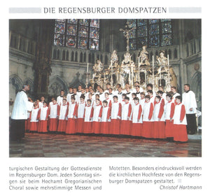 50721 Bach im Regensburger Dom