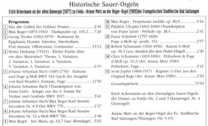 60301 Historische Sauer-Orgeln